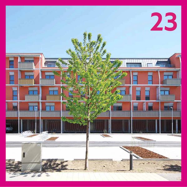 Home 21 (c) kallingerprojekte